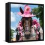 ¡Viva Mexico! Square Collection - Horse with a Pink Hat-Philippe Hugonnard-Framed Stretched Canvas