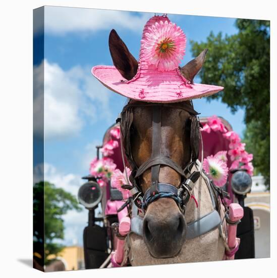 ¡Viva Mexico! Square Collection - Horse with a Pink Hat-Philippe Hugonnard-Stretched Canvas