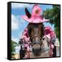 ¡Viva Mexico! Square Collection - Horse with a Pink Hat-Philippe Hugonnard-Framed Stretched Canvas