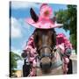¡Viva Mexico! Square Collection - Horse with a Pink Hat-Philippe Hugonnard-Stretched Canvas