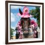 ¡Viva Mexico! Square Collection - Horse with a Pink Hat-Philippe Hugonnard-Framed Photographic Print