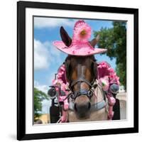 ¡Viva Mexico! Square Collection - Horse with a Pink Hat-Philippe Hugonnard-Framed Photographic Print