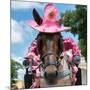 ¡Viva Mexico! Square Collection - Horse with a Pink Hat-Philippe Hugonnard-Mounted Photographic Print