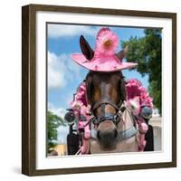 ¡Viva Mexico! Square Collection - Horse with a Pink Hat-Philippe Hugonnard-Framed Photographic Print