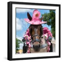 ¡Viva Mexico! Square Collection - Horse with a Pink Hat-Philippe Hugonnard-Framed Photographic Print