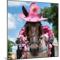 ¡Viva Mexico! Square Collection - Horse with a Pink Hat-Philippe Hugonnard-Mounted Photographic Print