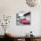 ?Viva Mexico! Square Collection - Hot Pink VW Beetle Car in San Cristobal de Las Casas-Philippe Hugonnard-Photographic Print displayed on a wall