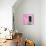 ¡Viva Mexico! Square Collection - Hot Pink Wall of Silence-Philippe Hugonnard-Photographic Print displayed on a wall