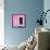 ¡Viva Mexico! Square Collection - Hot Pink Wall of Silence-Philippe Hugonnard-Framed Stretched Canvas displayed on a wall