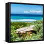 ¡Viva Mexico! Square Collection - Isla Mujeres Coastline III-Philippe Hugonnard-Framed Stretched Canvas