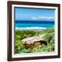 ¡Viva Mexico! Square Collection - Isla Mujeres Coastline III-Philippe Hugonnard-Framed Photographic Print