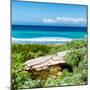 ¡Viva Mexico! Square Collection - Isla Mujeres Coastline III-Philippe Hugonnard-Mounted Photographic Print