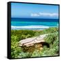 ¡Viva Mexico! Square Collection - Isla Mujeres Coastline III-Philippe Hugonnard-Framed Stretched Canvas