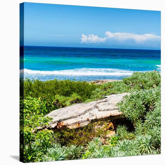 ¡Viva Mexico! Square Collection - Isla Mujeres Coastline III-Philippe Hugonnard-Stretched Canvas