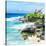 ¡Viva Mexico! Square Collection - Isla Mujeres Coastline-Philippe Hugonnard-Stretched Canvas