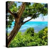 ¡Viva Mexico! Square Collection - Isla Mujeres View II-Philippe Hugonnard-Stretched Canvas