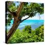 ¡Viva Mexico! Square Collection - Isla Mujeres View II-Philippe Hugonnard-Stretched Canvas