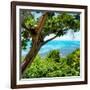 ¡Viva Mexico! Square Collection - Isla Mujeres View II-Philippe Hugonnard-Framed Photographic Print