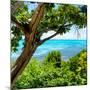¡Viva Mexico! Square Collection - Isla Mujeres View II-Philippe Hugonnard-Mounted Photographic Print