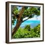 ¡Viva Mexico! Square Collection - Isla Mujeres View II-Philippe Hugonnard-Framed Photographic Print