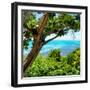 ¡Viva Mexico! Square Collection - Isla Mujeres View II-Philippe Hugonnard-Framed Photographic Print