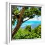 ¡Viva Mexico! Square Collection - Isla Mujeres View II-Philippe Hugonnard-Framed Photographic Print