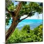 ¡Viva Mexico! Square Collection - Isla Mujeres View II-Philippe Hugonnard-Mounted Photographic Print