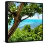 ¡Viva Mexico! Square Collection - Isla Mujeres View II-Philippe Hugonnard-Framed Stretched Canvas