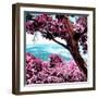 ¡Viva Mexico! Square Collection - Isla Mujeres View III-Philippe Hugonnard-Framed Photographic Print