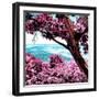 ¡Viva Mexico! Square Collection - Isla Mujeres View III-Philippe Hugonnard-Framed Photographic Print