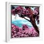 ¡Viva Mexico! Square Collection - Isla Mujeres View III-Philippe Hugonnard-Framed Photographic Print