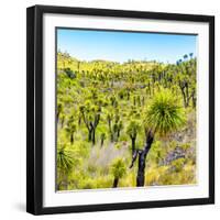 ¡Viva Mexico! Square Collection - Joshua Trees-Philippe Hugonnard-Framed Photographic Print