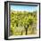 ¡Viva Mexico! Square Collection - Joshua Trees-Philippe Hugonnard-Framed Photographic Print