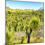 ¡Viva Mexico! Square Collection - Joshua Trees-Philippe Hugonnard-Mounted Photographic Print