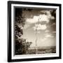 ¡Viva Mexico! Square Collection - Jungle View III-Philippe Hugonnard-Framed Photographic Print