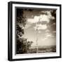 ¡Viva Mexico! Square Collection - Jungle View III-Philippe Hugonnard-Framed Photographic Print