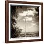 ¡Viva Mexico! Square Collection - Jungle View III-Philippe Hugonnard-Framed Photographic Print