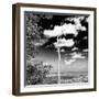 ¡Viva Mexico! Square Collection - Jungle View V-Philippe Hugonnard-Framed Photographic Print