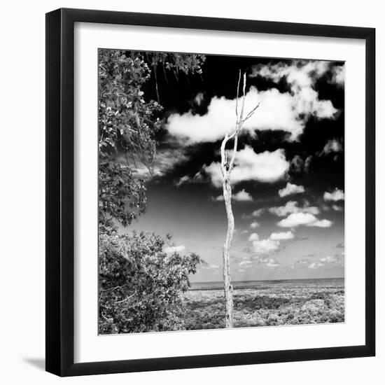 ¡Viva Mexico! Square Collection - Jungle View V-Philippe Hugonnard-Framed Photographic Print