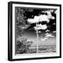 ¡Viva Mexico! Square Collection - Jungle View V-Philippe Hugonnard-Framed Photographic Print