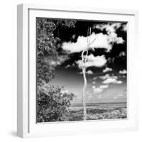 ¡Viva Mexico! Square Collection - Jungle View V-Philippe Hugonnard-Framed Photographic Print