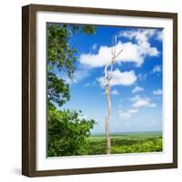 ¡Viva Mexico! Square Collection - Jungle View-Philippe Hugonnard-Framed Photographic Print