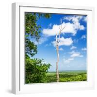 ¡Viva Mexico! Square Collection - Jungle View-Philippe Hugonnard-Framed Photographic Print