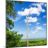 ¡Viva Mexico! Square Collection - Jungle View-Philippe Hugonnard-Mounted Photographic Print