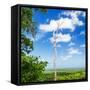 ¡Viva Mexico! Square Collection - Jungle View-Philippe Hugonnard-Framed Stretched Canvas