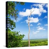 ¡Viva Mexico! Square Collection - Jungle View-Philippe Hugonnard-Stretched Canvas