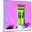¡Viva Mexico! Square Collection - Lime Green Door & Pink Wall in Campeche-Philippe Hugonnard-Mounted Photographic Print
