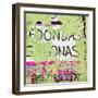 ¡Viva Mexico! Square Collection - Lime Green Grunge Wall-Philippe Hugonnard-Framed Photographic Print