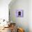 ¡Viva Mexico! Square Collection - Mauve Wall & Black Window-Philippe Hugonnard-Stretched Canvas displayed on a wall