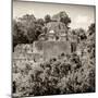 ¡Viva Mexico! Square Collection - Mayan Pyramid of Calakmul II-Philippe Hugonnard-Mounted Premium Photographic Print